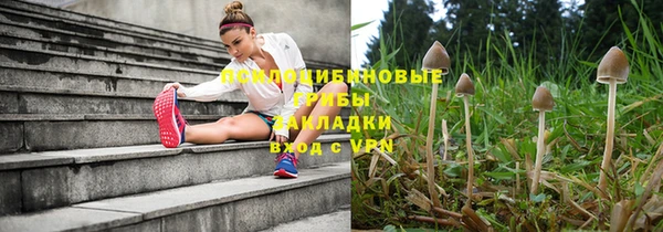 крисы Пересвет