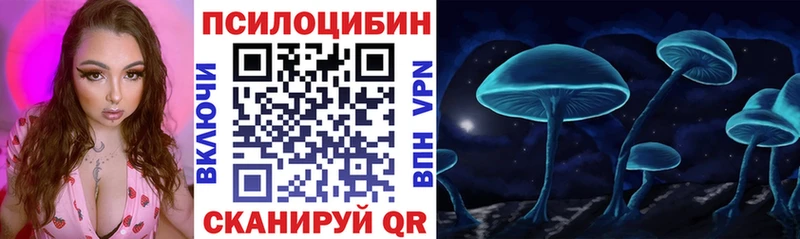 Галлюциногенные грибы Psilocybe  наркотики  Балахна 